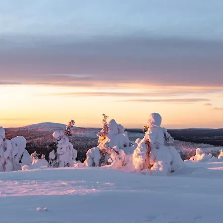 In Lapland - Levin Sudenpesae Apartment Sirkka